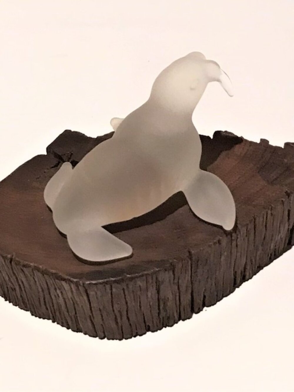 Crystal Sea Lion - Picture 2 of 5